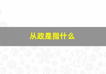 从政是指什么