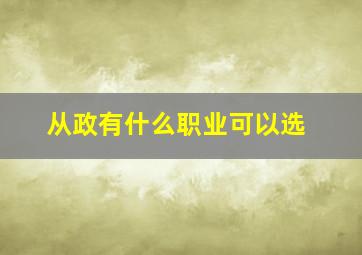 从政有什么职业可以选