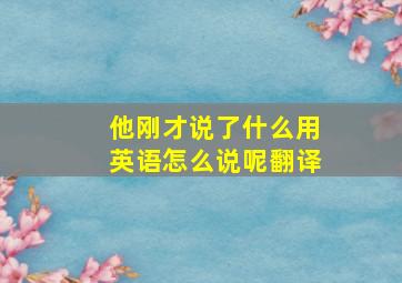 他刚才说了什么用英语怎么说呢翻译