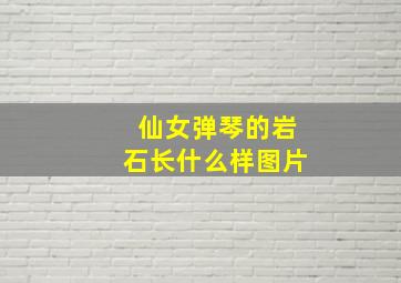 仙女弹琴的岩石长什么样图片