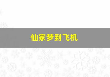 仙家梦到飞机