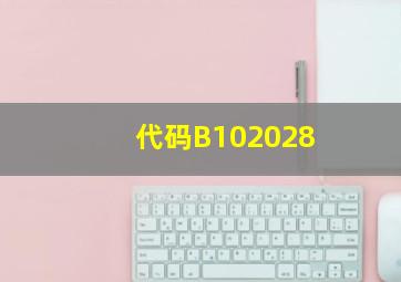 代码B102028