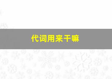 代词用来干嘛