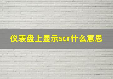 仪表盘上显示scr什么意思