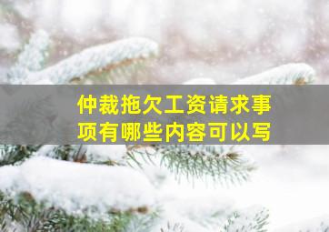 仲裁拖欠工资请求事项有哪些内容可以写