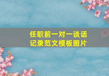 任职前一对一谈话记录范文模板图片