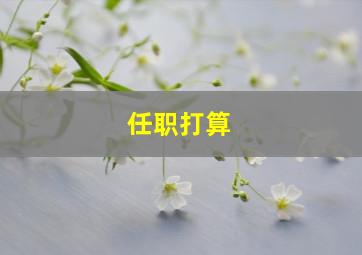 任职打算