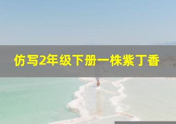 仿写2年级下册一株紫丁香