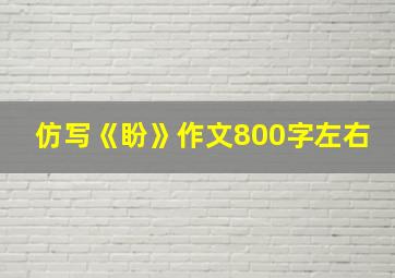 仿写《盼》作文800字左右