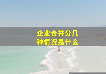 企业合并分几种情况是什么