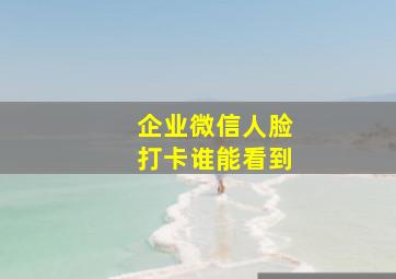 企业微信人脸打卡谁能看到