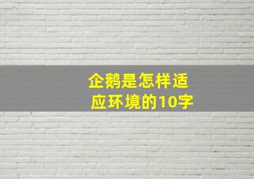 企鹅是怎样适应环境的10字