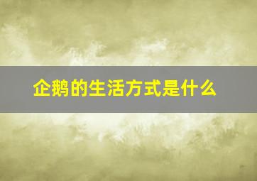 企鹅的生活方式是什么