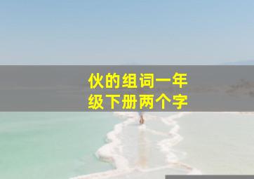 伙的组词一年级下册两个字