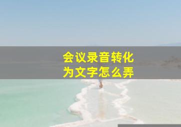 会议录音转化为文字怎么弄