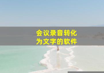 会议录音转化为文字的软件