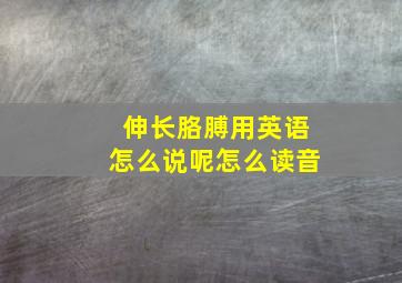 伸长胳膊用英语怎么说呢怎么读音