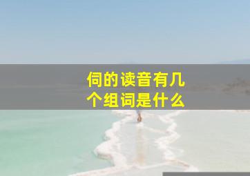 伺的读音有几个组词是什么