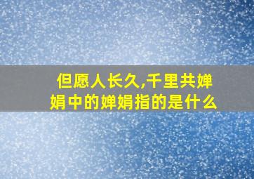 但愿人长久,千里共婵娟中的婵娟指的是什么