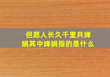 但愿人长久千里共婵娟其中婵娟指的是什么