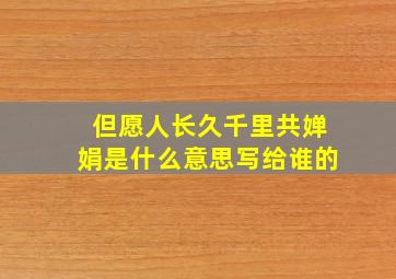 但愿人长久千里共婵娟是什么意思写给谁的