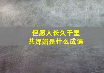 但愿人长久千里共婵娟是什么成语