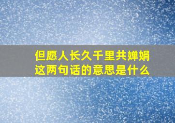 但愿人长久千里共婵娟这两句话的意思是什么