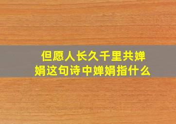 但愿人长久千里共婵娟这句诗中婵娟指什么