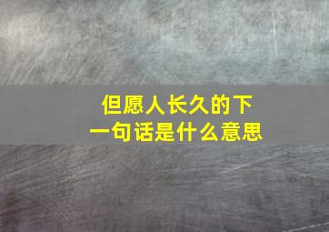 但愿人长久的下一句话是什么意思