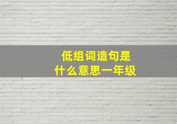 低组词造句是什么意思一年级