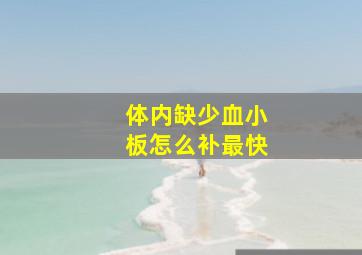 体内缺少血小板怎么补最快