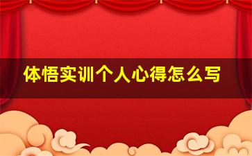 体悟实训个人心得怎么写