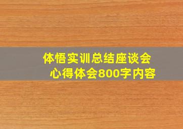 体悟实训总结座谈会心得体会800字内容