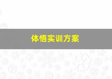 体悟实训方案