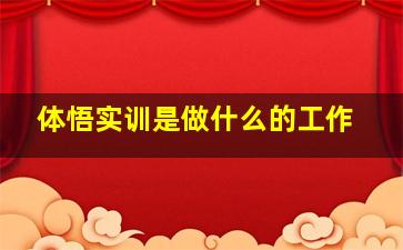 体悟实训是做什么的工作