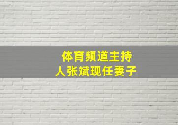 体育频道主持人张斌现任妻子