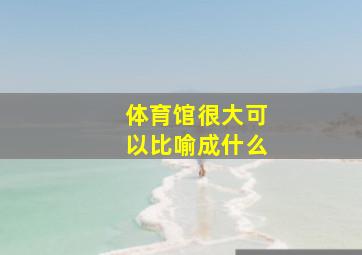 体育馆很大可以比喻成什么