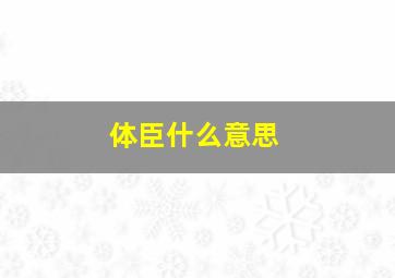 体臣什么意思