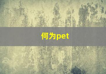 何为pet