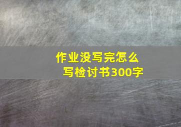 作业没写完怎么写检讨书300字