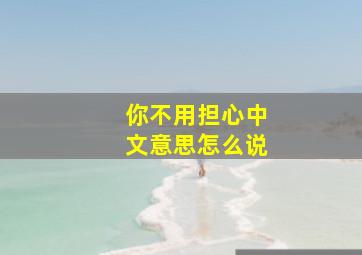 你不用担心中文意思怎么说