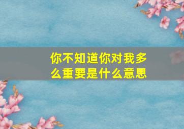 你不知道你对我多么重要是什么意思