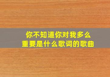 你不知道你对我多么重要是什么歌词的歌曲