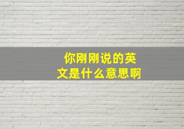 你刚刚说的英文是什么意思啊