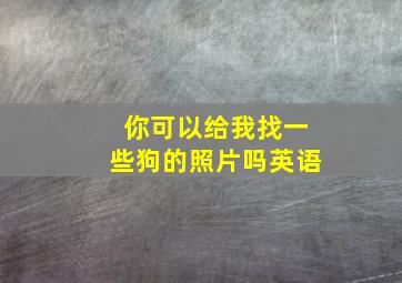 你可以给我找一些狗的照片吗英语