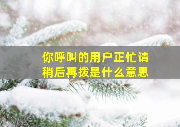 你呼叫的用户正忙请稍后再拨是什么意思