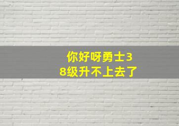 你好呀勇士38级升不上去了