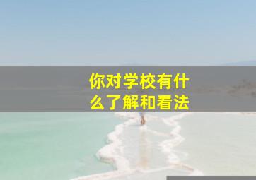 你对学校有什么了解和看法