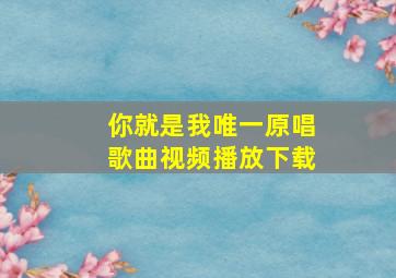 你就是我唯一原唱歌曲视频播放下载