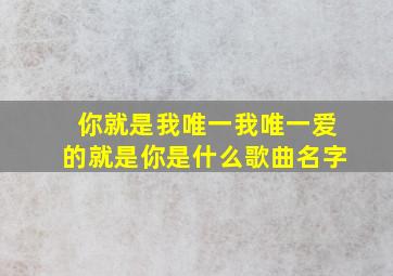 你就是我唯一我唯一爱的就是你是什么歌曲名字